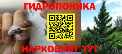 спиды Будённовск