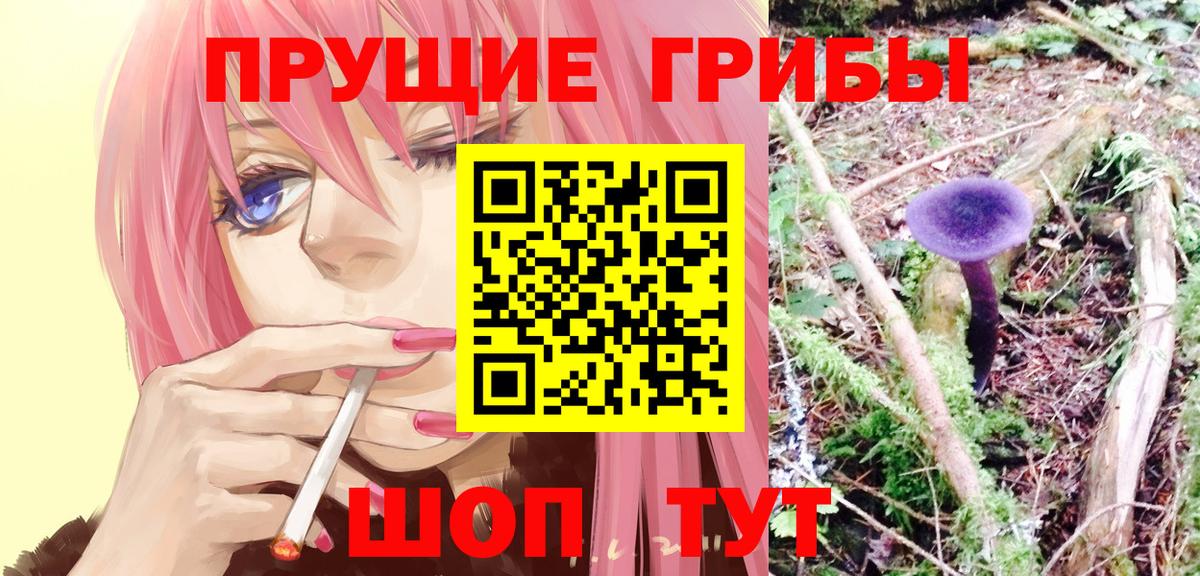 Галлюциногенные грибы прущие грибы Радужный
